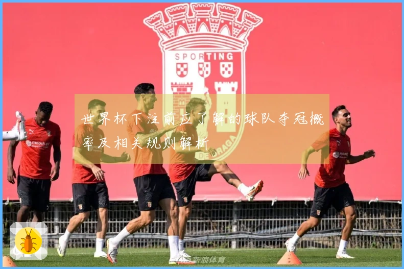 世界杯下注前应了解的球队夺冠概率及相关规则解析