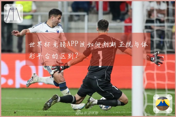 世界杯竞猜APP该如何判断正规与体彩平台的区别？