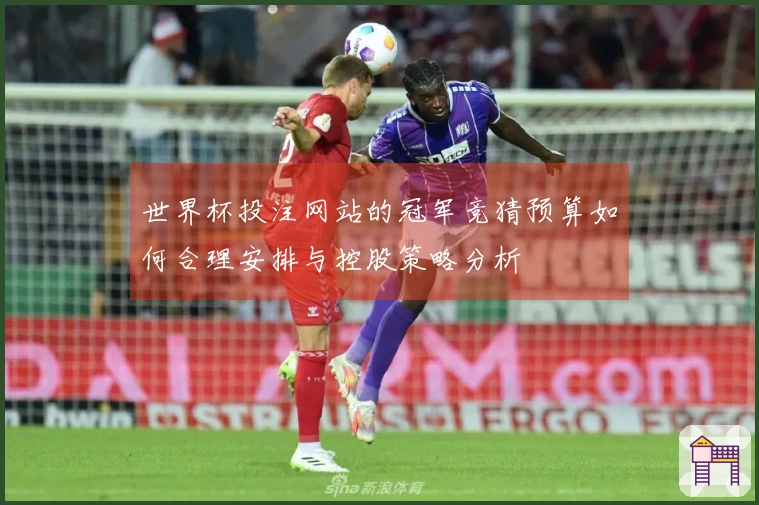 世界杯投注网站的冠军竞猜预算如何合理安排与控股策略分析