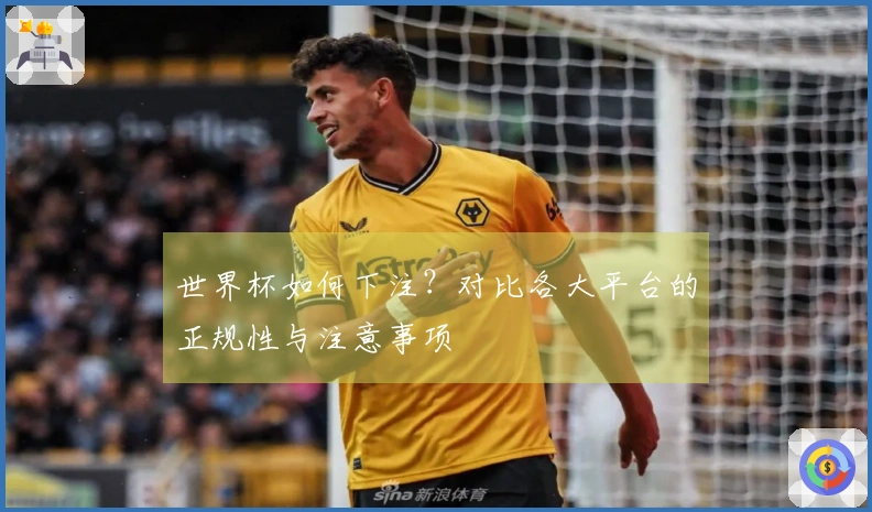 世界杯如何下注？对比各大平台的正规性与注意事项
