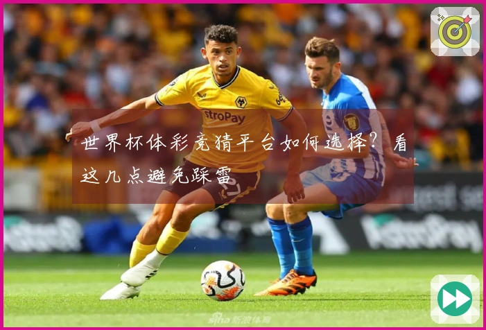 世界杯体彩竞猜平台如何选择？看这几点避免踩雷