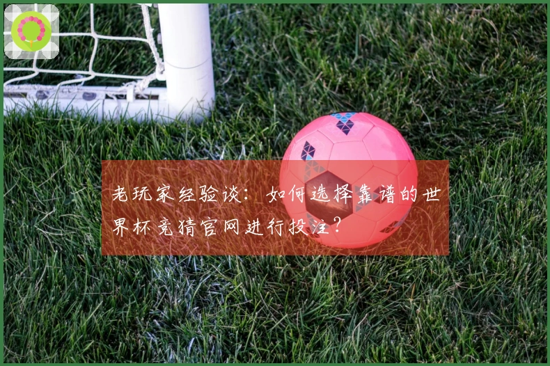 老玩家经验谈：如何选择靠谱的世界杯竞猜官网进行投注？