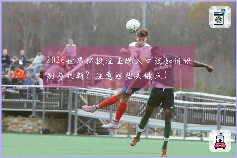2026世界杯投注正规入口该如何识别与判断？注意这些关键点！