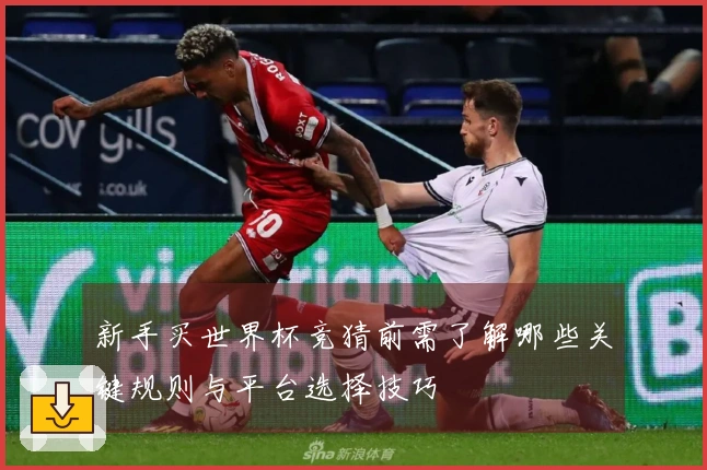 新手买世界杯竞猜前需了解哪些关键规则与平台选择技巧