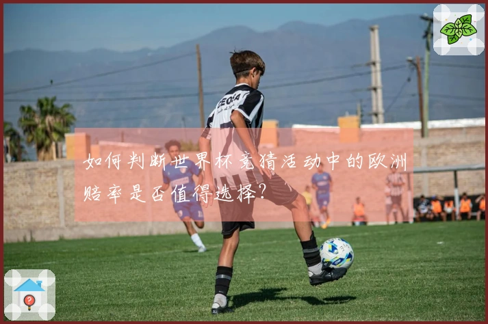 如何判断世界杯竞猜活动中的欧洲赔率是否值得选择？
