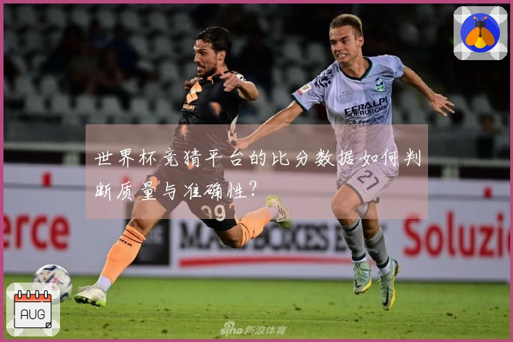 世界杯竞猜平台的比分数据如何判断质量与准确性？