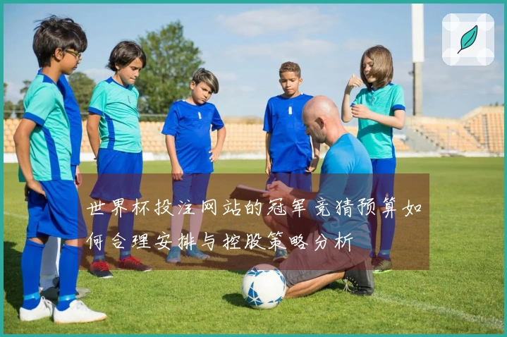 世界杯投注网站的冠军竞猜预算如何合理安排与控股策略分析