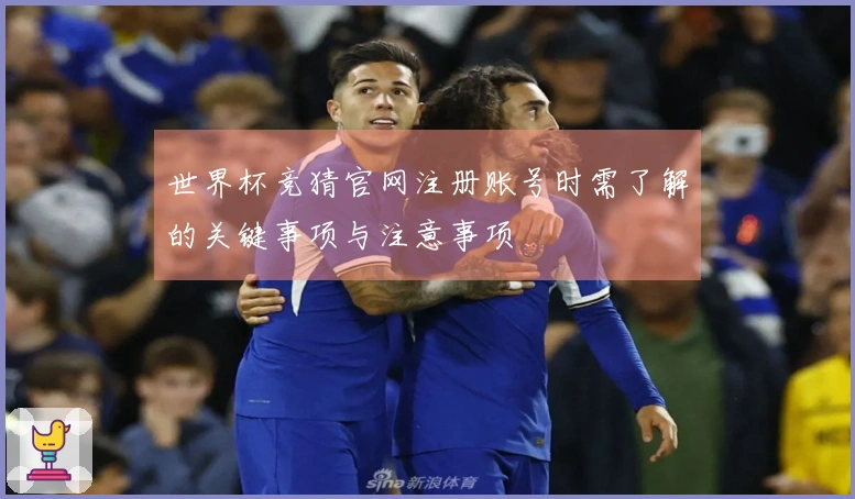 世界杯竞猜官网注册账号时需了解的关键事项与注意事项
