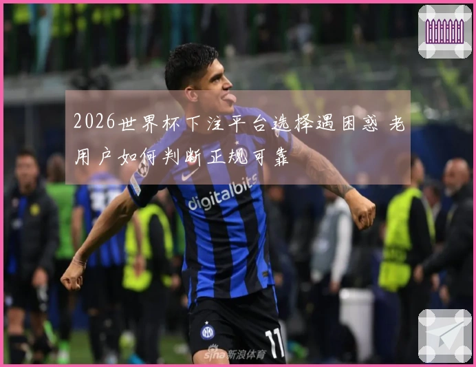 2026世界杯下注平台选择遇困惑 老用户如何判断正规可靠