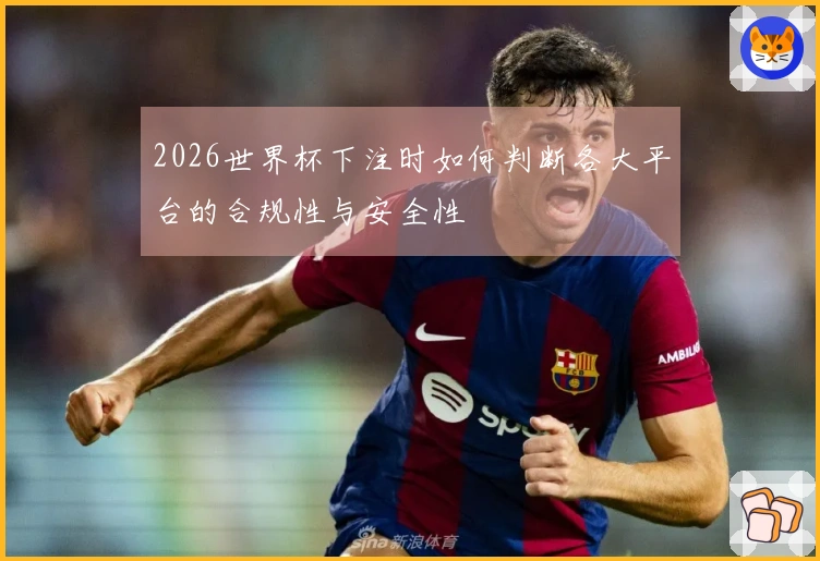 2026世界杯下注时如何判断各大平台的合规性与安全性