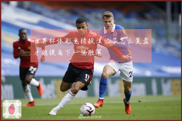 世界杯体彩竞猜投注记录怎么复盘才能提高下一场胜算