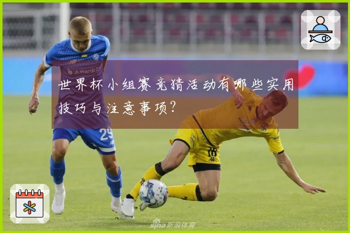世界杯小组赛竞猜活动有哪些实用技巧与注意事项？