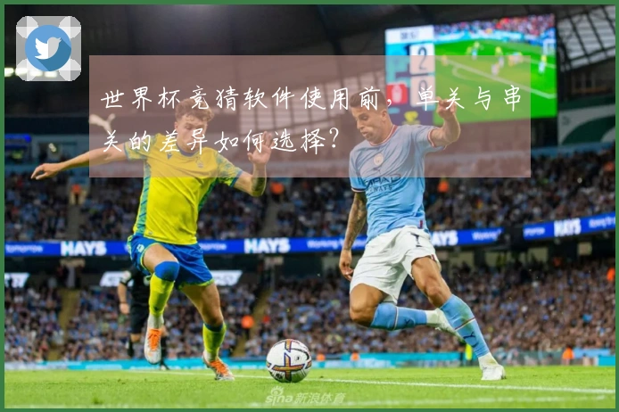 世界杯竞猜软件使用前，单关与串关的差异如何选择？