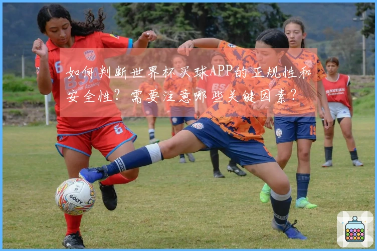 如何判断世界杯买球APP的正规性和安全性？需要注意哪些关键因素？