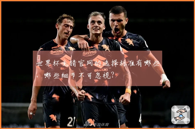 世界杯竞猜官网的选择标准有哪些，哪些细节不可忽视？