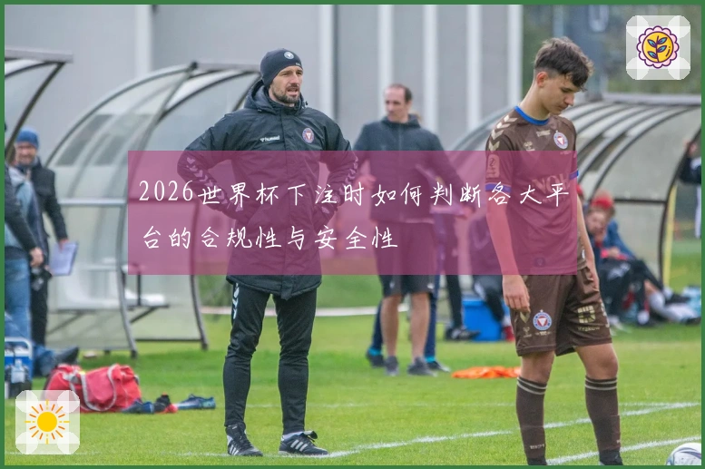 2026世界杯下注时如何判断各大平台的合规性与安全性