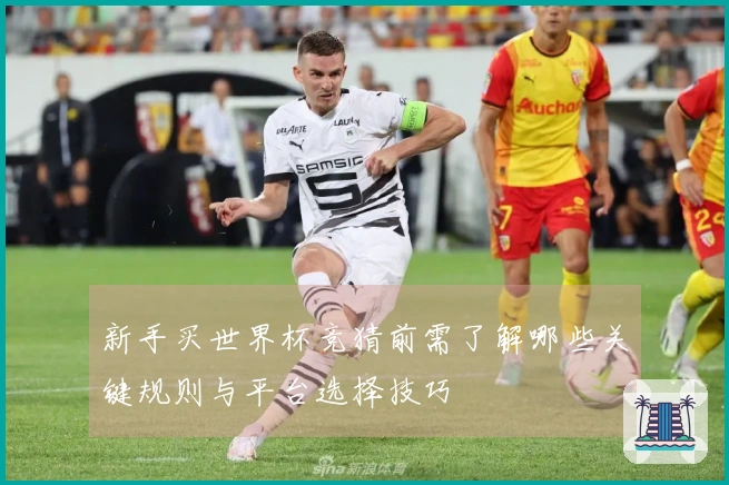 新手买世界杯竞猜前需了解哪些关键规则与平台选择技巧
