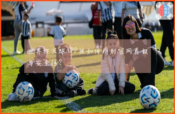 世界杯买球APP该如何辨别官网真假与安全性？