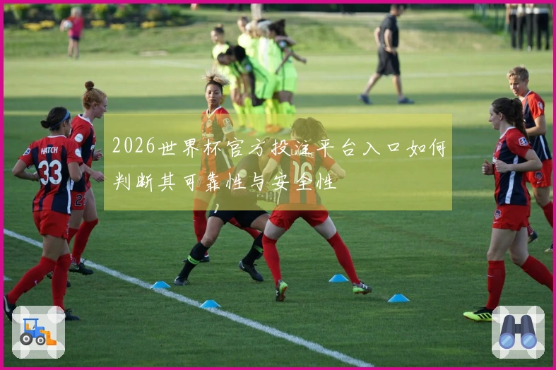2026世界杯官方投注平台入口如何判断其可靠性与安全性