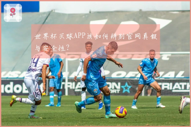 世界杯买球APP该如何辨别官网真假与安全性？