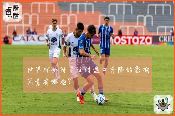 世界杯如何下注时盘口升降的影响因素有哪些？