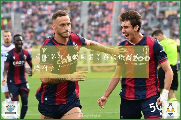 买世界杯竞猜前需了解的体彩规则是什么？