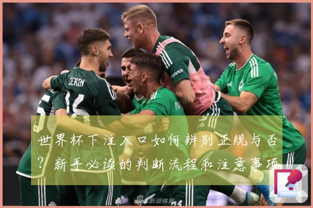 世界杯下注入口如何辨别正规与否？新手必读的判断流程和注意事项