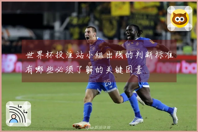 世界杯投注站小组出线的判断标准有哪些必须了解的关键因素