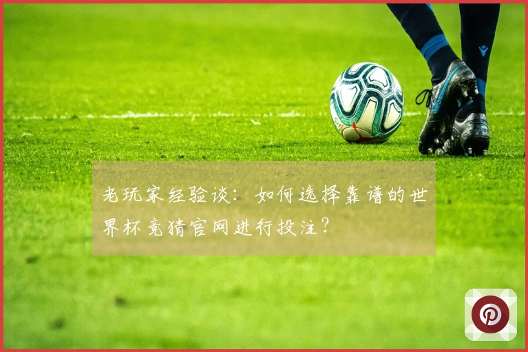 老玩家经验谈：如何选择靠谱的世界杯竞猜官网进行投注？