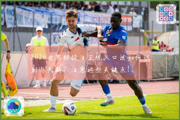 2026世界杯投注正规入口该如何识别与判断？注意这些关键点！