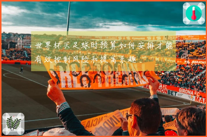 世界杯买足球时预算如何安排才能有效控制风险和提高乐趣