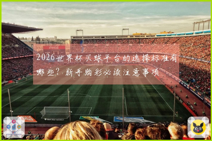 2026世界杯买球平台的选择标准有哪些？新手购彩必读注意事项