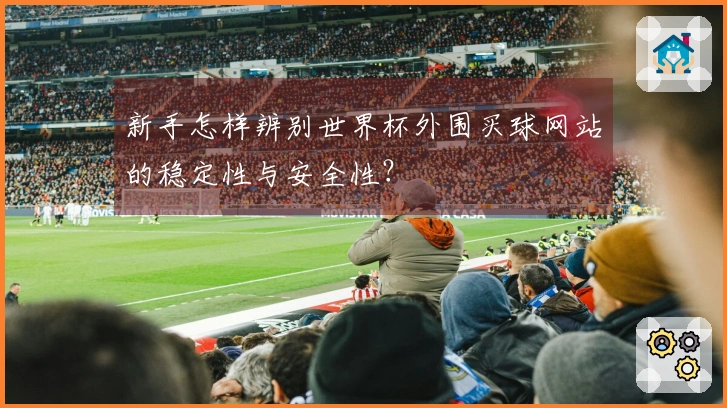 新手怎样辨别世界杯外围买球网站的稳定性与安全性？