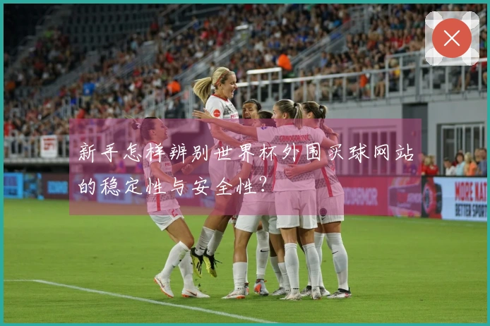 新手怎样辨别世界杯外围买球网站的稳定性与安全性？