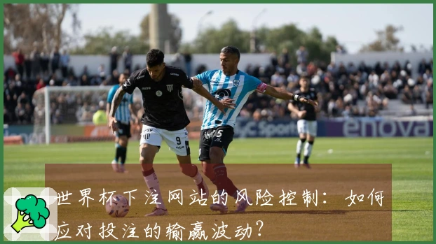 世界杯下注网站的风险控制：如何应对投注的输赢波动？