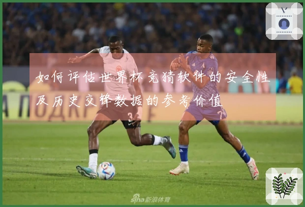 如何评估世界杯竞猜软件的安全性及历史交锋数据的参考价值